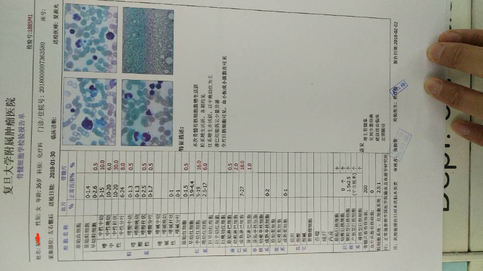 骨穿结果出来了