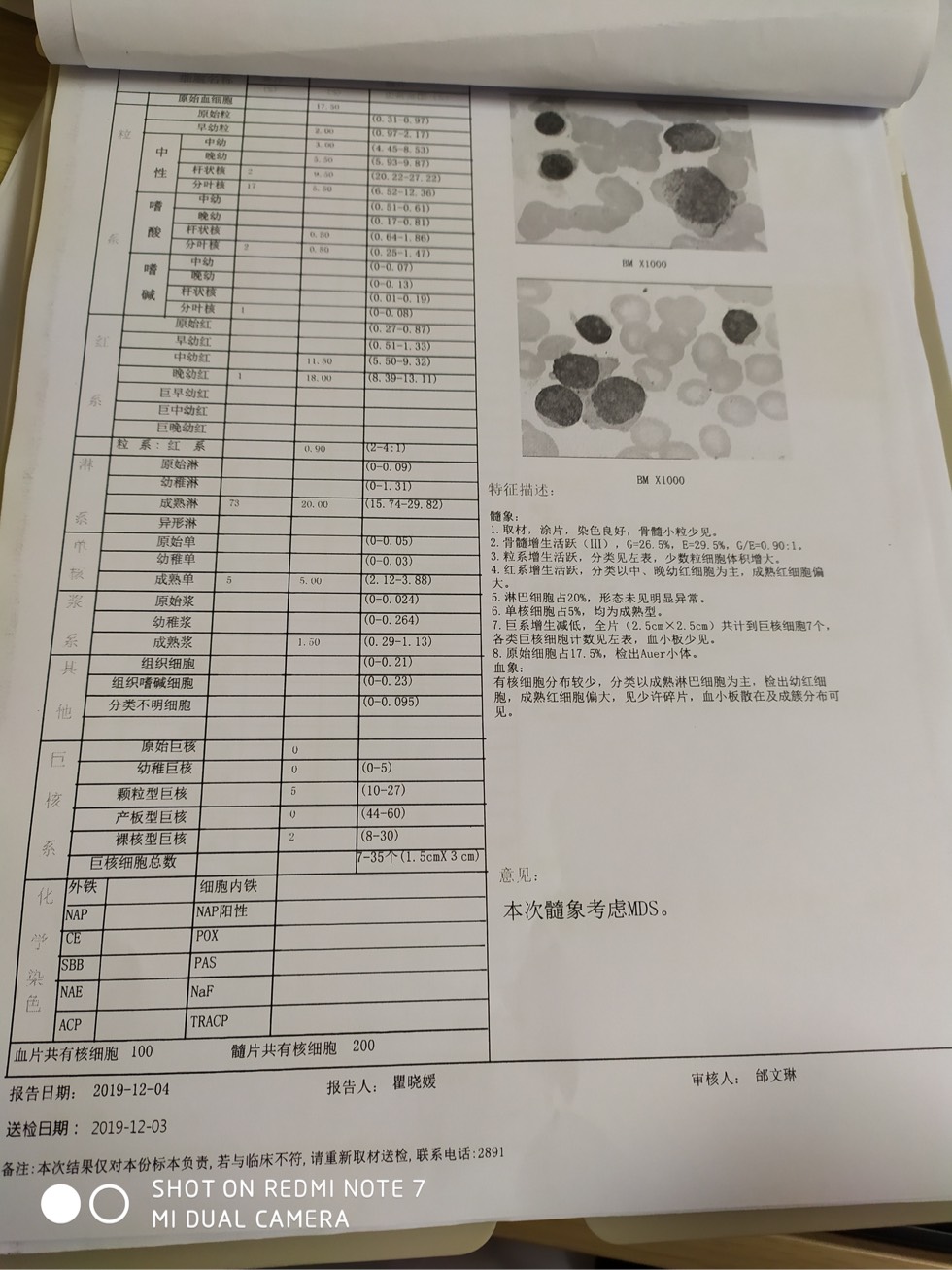 骨穿报告,急求高手帮忙