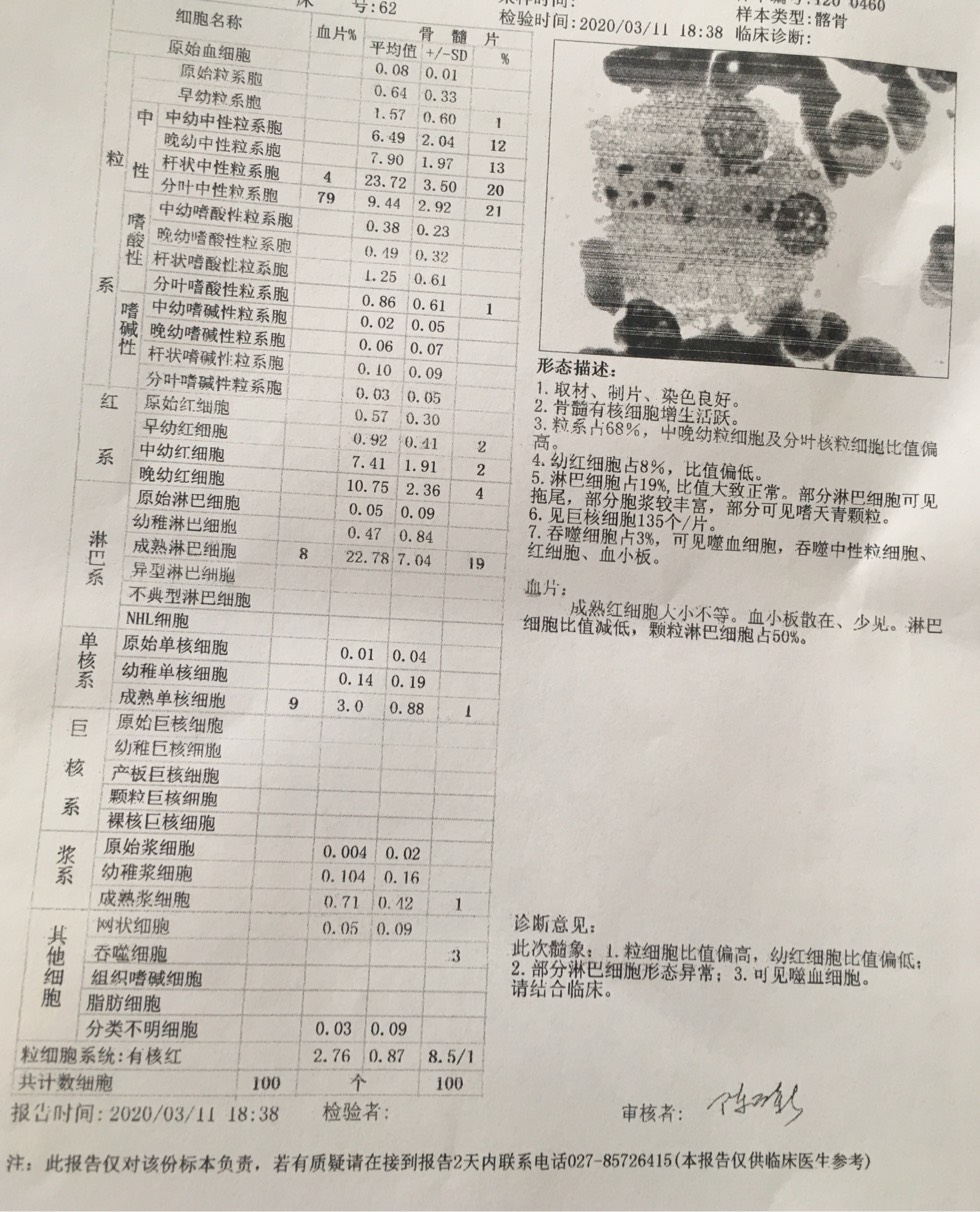 求大家看看骨穿活检结果