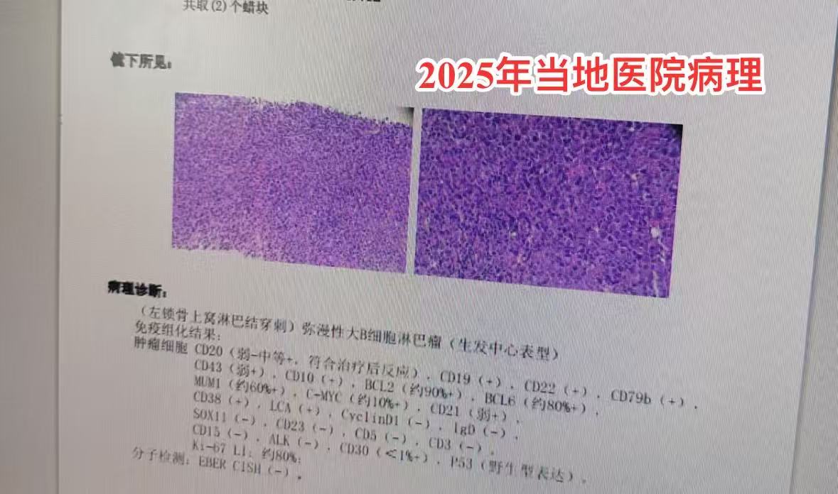 微信图片_20250428192839.jpg